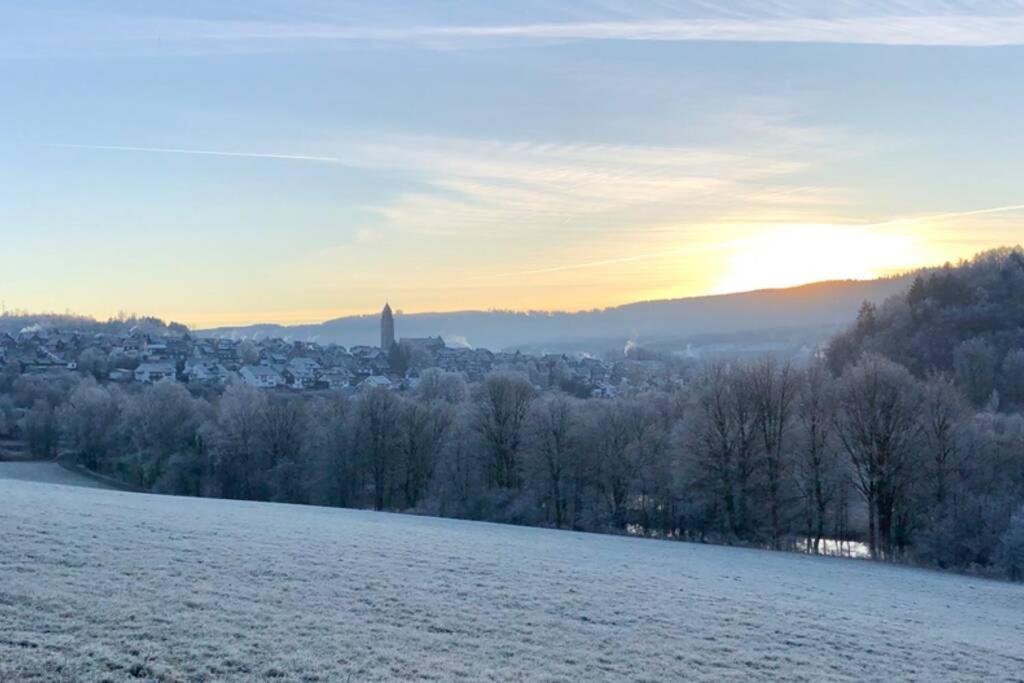 Ferienwohnung Birkenlodge Schmallenberg Buitenkant foto